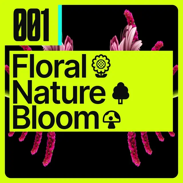 [001] Floral 🌻 Nature 🌳 Bloom 🍄 - 1min Seamless Show Tour Visual [USA] 🇺🇸