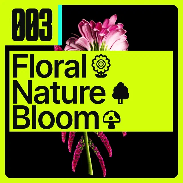 [003] Floral 🌻 Nature 🌳 Bloom 🍄 - 1min Seamless Show Tour Visual [AUS/NZ] 🇦🇺 🇳🇿