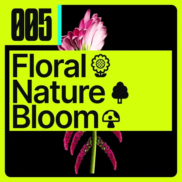 [005] Floral 🌻 Nature 🌳 Bloom 🍄 - 1min Seamless Show Tour Visual [Rest Of World] 🌐