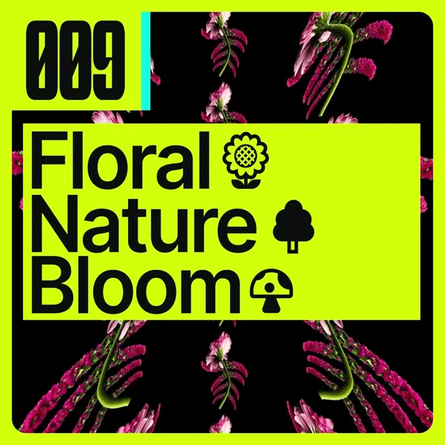 [009] Floral 🌻 Nature 🌳 Bloom 🍄 - 1min Seamless Show Tour Visual [USA] 🇺🇸